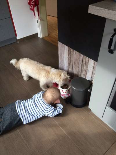 FOTOCHALLENGE 68: Dein Hund und sein bester Freund-Beitrag-Bild