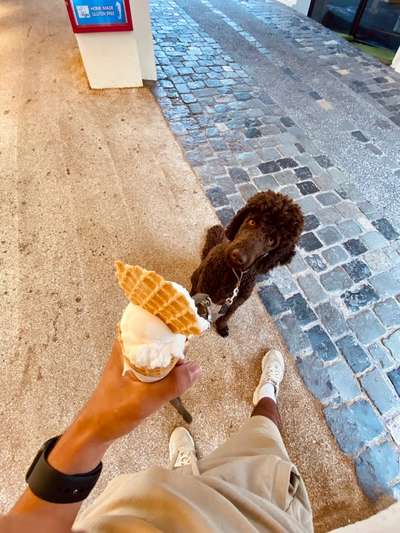 Zeigt eure schönsten Sommerbilder-Beitrag-Bild