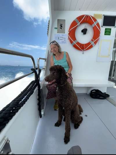 Zeigt eure schönsten Sommerbilder-Beitrag-Bild