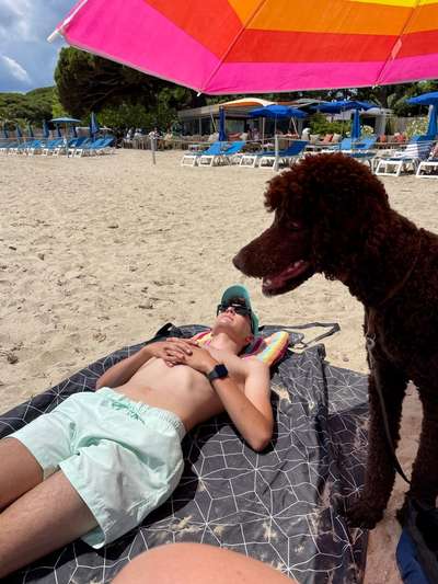 Zeigt eure schönsten Sommerbilder-Beitrag-Bild