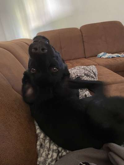 Lustige Grimassen & verrückte Posen-Beitrag-Bild