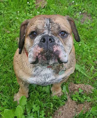 Lieblingsbild :D-Beitrag-Bild