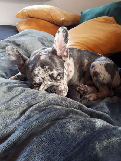 Lieblingsbild-Beitrag-Bild