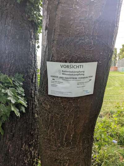 Giftköder-Warnung Ratten- und Mäusegift-Bild