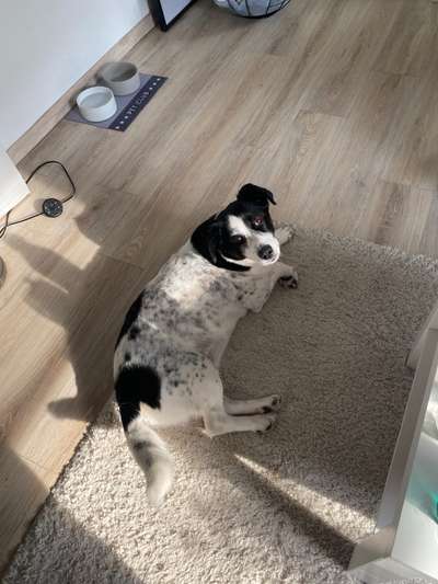 Doppelgänger gesucht !-Beitrag-Bild