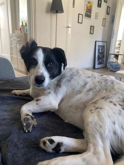 Doppelgänger gesucht !-Beitrag-Bild