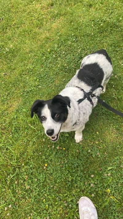 Doppelgänger gesucht !-Beitrag-Bild