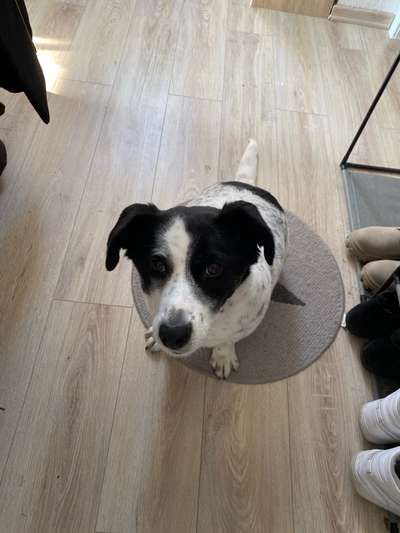 Doppelgänger gesucht !-Beitrag-Bild