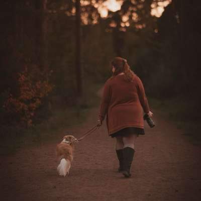 Tierfotografen-Fotografie Lichtblicke-Bild