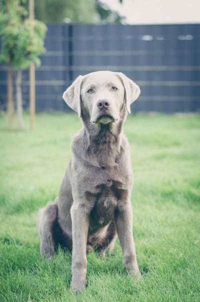 Doppelgänger gesucht !-Beitrag-Bild