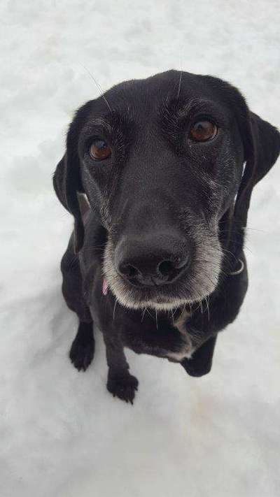 Doppelgänger gesucht !-Beitrag-Bild