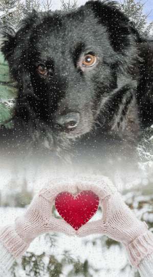 Zeigt eure Portraits-Beitrag-Bild