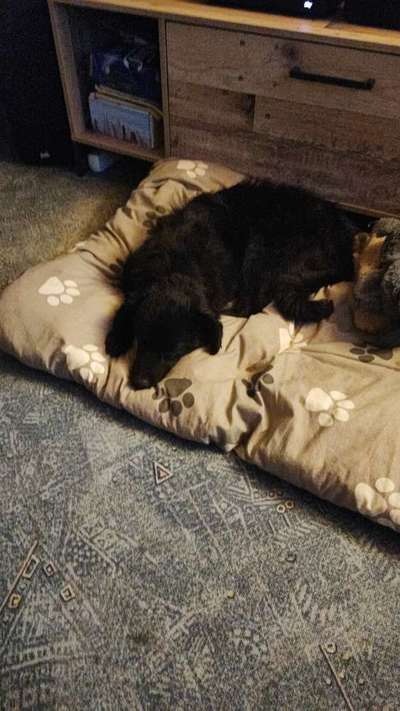 Lieblingsbild-Beitrag-Bild