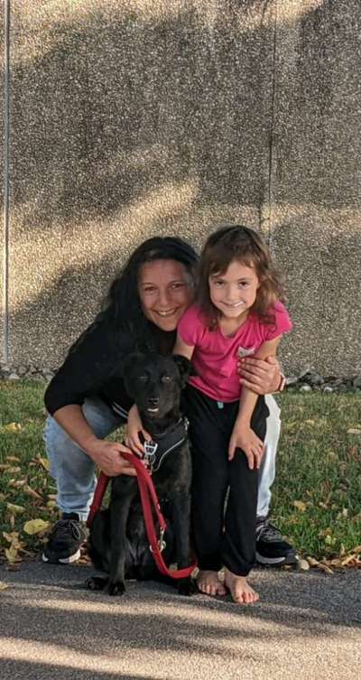 Schattenseiten der Hundehaltung-Beitrag-Bild