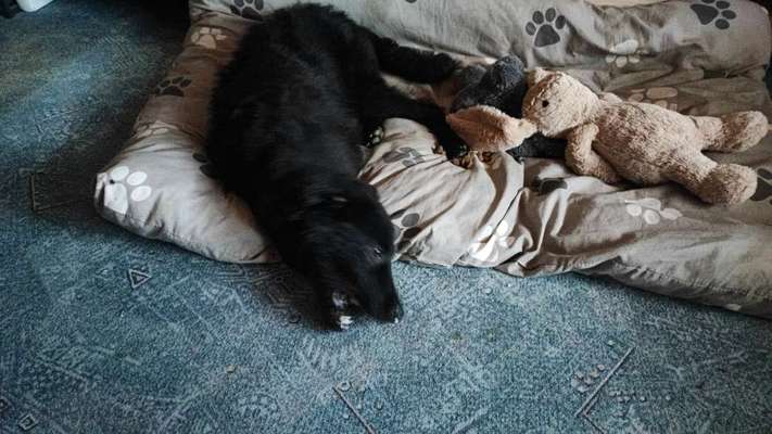 Lustige Grimassen & verrückte Posen-Beitrag-Bild