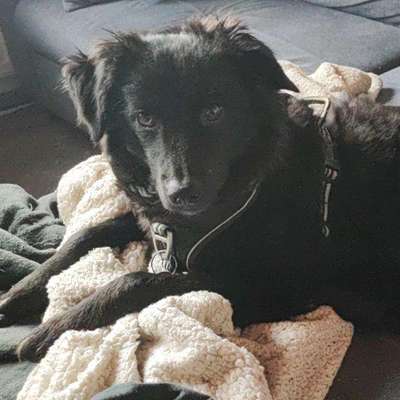 Seltsames Geschirr-Beitrag-Bild