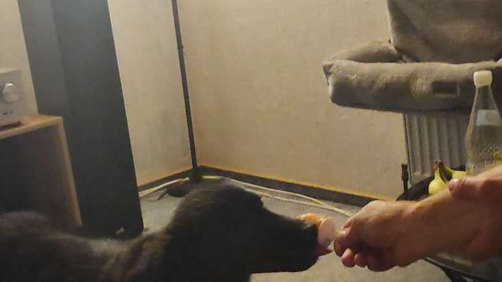 FOTO-Challenge  NR. 91: Die pure Entspannung-Beitrag-Bild