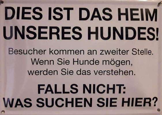 TierschutzhundeStammtisch🐕-Beitrag-Bild