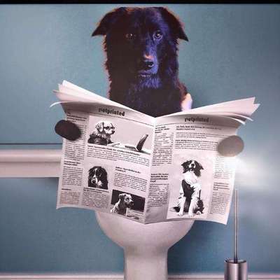 Lieblingsbild-Beitrag-Bild