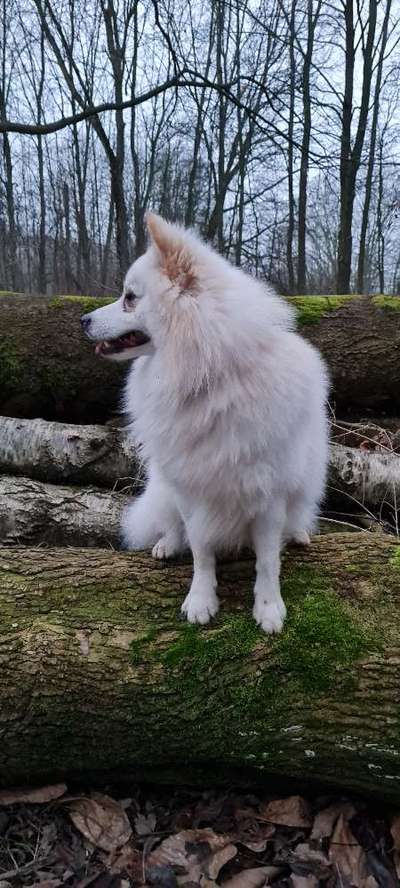 Schwimmen im Winter-Beitrag-Bild