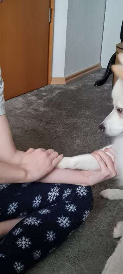 Fotochallenge Nr. 64-Beitrag-Bild