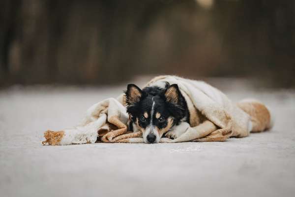 %{de_profession_title}-Outdoor "Die goldene Mitte"-Bild