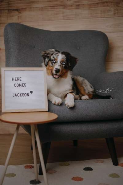 %{de_profession_title}-Mini Studio "Glückskonfetti"-Bild