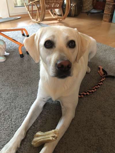 Handyfoto challenge Nr. 13: Waschlappen raus!-Beitrag-Bild