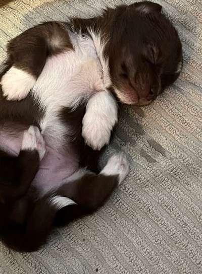 Handyfoto challenge Nr. 13: Waschlappen raus!-Beitrag-Bild