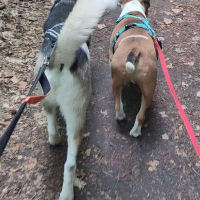 %{de_profession_title}-Social Walk-Bild