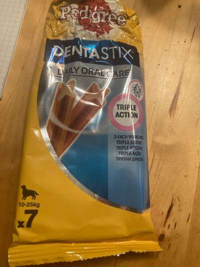 Lagotto Romagnolo Besitzer-Beitrag-Bild