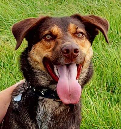 Fotochallange Nr. 57     PORTRÄT.   Beendet!!!!!!!!-Beitrag-Bild