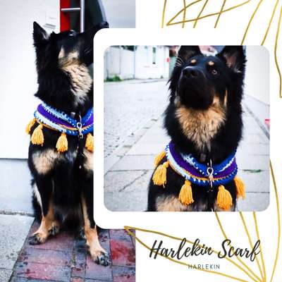 Handmade Dog Accessoires von Fräulein Smilla-Beitrag-Bild