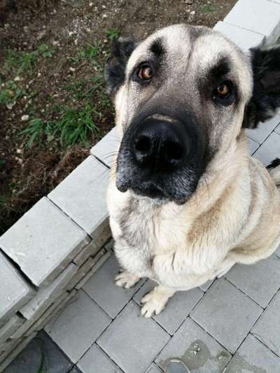 Vorurteile-Beitrag-Bild