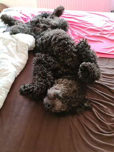 Die unbequemsten und lustigsten Schlafpositionen-Beitrag-Bild