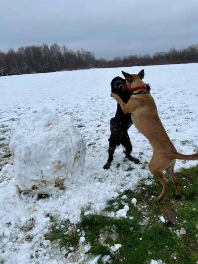 Zeigt mir eure Lieblingsfotos ♡♡-Beitrag-Bild