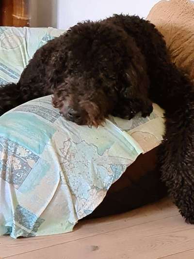 Die unbequemsten und lustigsten Schlafpositionen-Beitrag-Bild