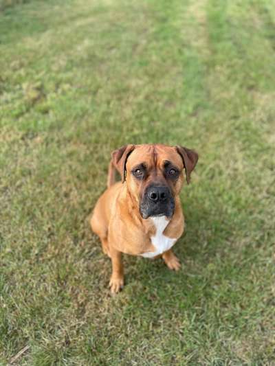 19. Farben  Fottochallenge :
Lieblingsfarbe-Beitrag-Bild