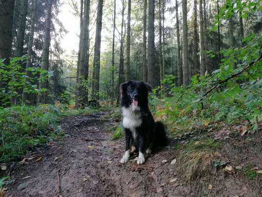 1. Fotochallenge Collagen - 4 Jahreszeiten-Beitrag-Bild