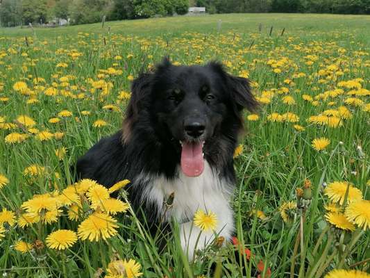 1. Fotochallenge Collagen - 4 Jahreszeiten-Beitrag-Bild