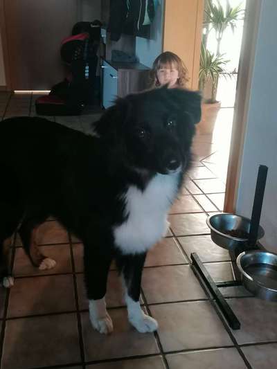 Welpen Bilder !-Beitrag-Bild