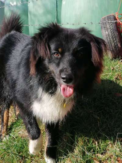 1. Fotochallenge Collagen - 4 Jahreszeiten-Beitrag-Bild