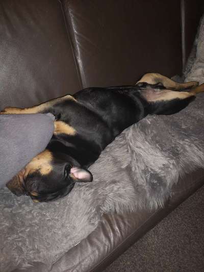 "Die eingefangene Magie des Augenblicks"-Beitrag-Bild