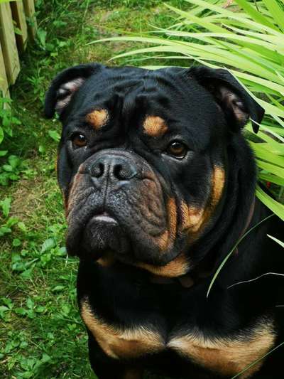 Farben Fotochallenge Thema ,,Grün"-Beitrag-Bild