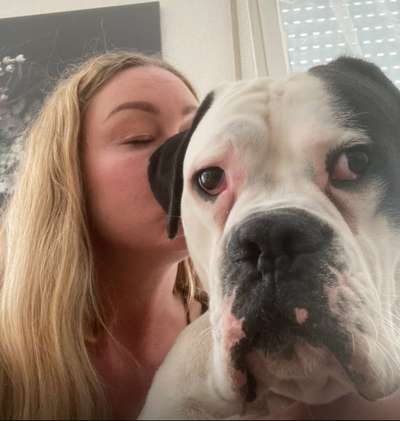 Mischlinge raten - Rätselspaß-Beitrag-Bild