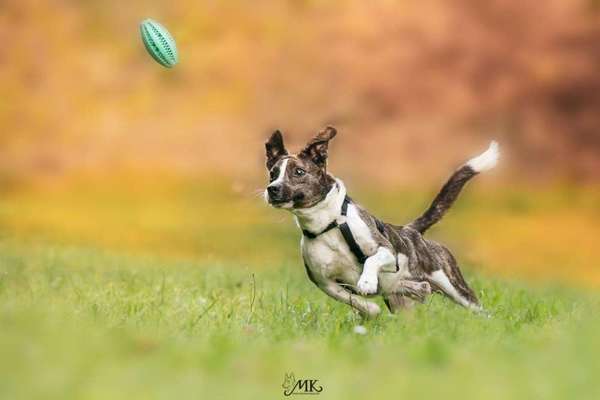 Fotochallenge Nr. 52 „Spring!“-Beitrag-Bild