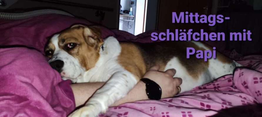 Gemeinsames Kuscheln im Bett!-Beitrag-Bild