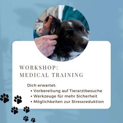 Giftköder-Workshop: Medical Training-Bild