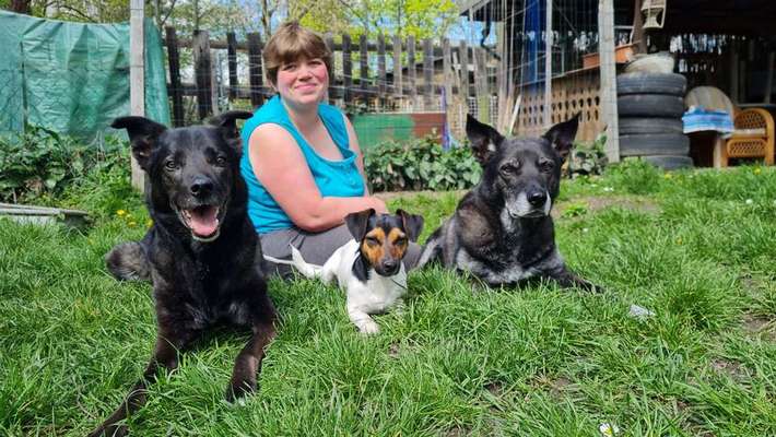 Hundeschulen-Labcols inside -Bild