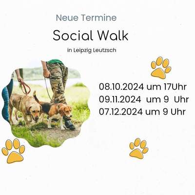 Giftköder-Social Walk in Leipzig-Bild